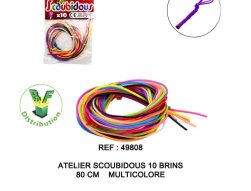 49808---atelier-scoubidous-10-brins